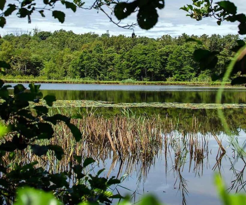 Appartamento Borgo Antico Paruzzaro Bagian luar foto